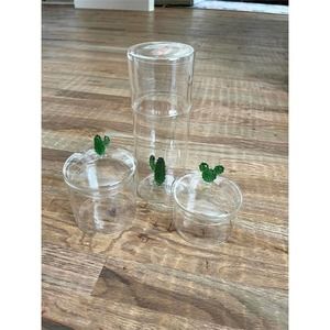 Torre & Tagus Glass Canister COMBO CACTUS CARAFE For Kitchen